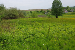20190520_122449