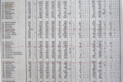 1.-Skorowidz-miejscowości-Rzeczypospolitej-Polskiej-Tom-XIII-Województwo-Lwowskie-GUS-1924-3-1